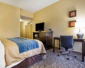 Гостиница Comfort Inn & Suites at Stone Mountain  Стоун Маунтэйн